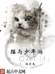 猫与少年游