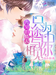 再见旧情人：只为途中与你相见