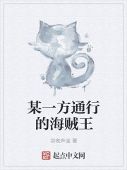 某一方通行的海贼王