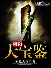 阴阳大宝鉴