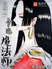 海贼王之奇迹魔法师
