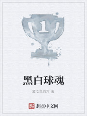 黑白球魂