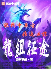 龙组征途