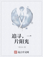 追寻，一片阳光