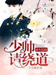 重生民国:少帅,请绕道