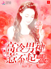 娇妻有毒：高冷男神惹不起