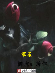 军圣