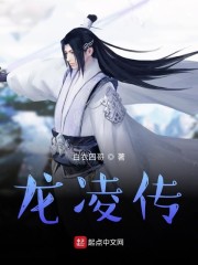 龙凌传