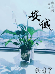 安诚