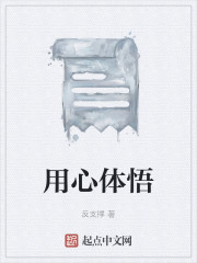 用心体悟