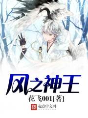 风之神王
