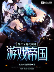 异次元游戏开发商