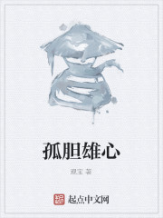 孤胆雄心