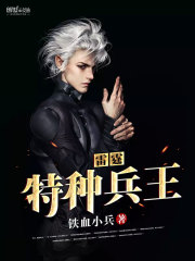雷霆特种兵王