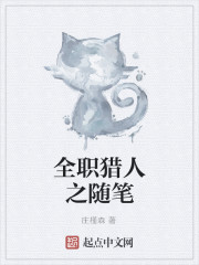 全职猎人之随笔