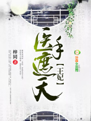 替嫁,王妃医手遮天