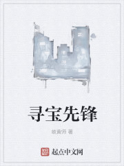 寻宝先锋