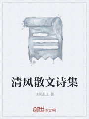 清风散文诗集