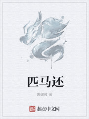 匹马还