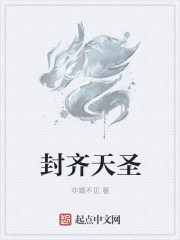 封齐天圣
