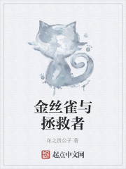 金丝雀与拯救者