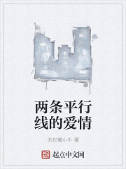 两条平行线的爱情