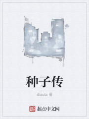 种子传