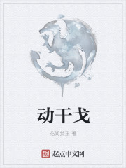动干戈