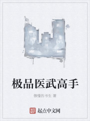 极品医武高手