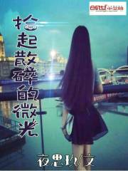 拾起散碎的微光