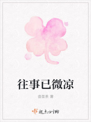 往事已微凉