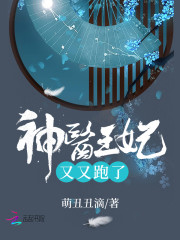 冷王追妻:爱妃,别跑!