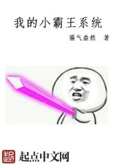 我的小霸王系统