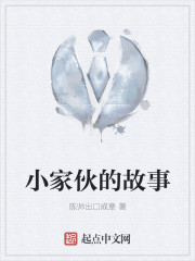 小家伙的故事