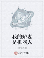 我的娇妻是机器人