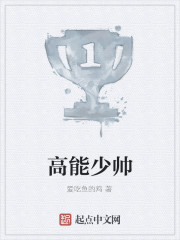 高能少帅