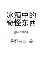 我,艾莉卡的侍从