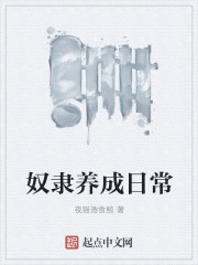 奴隶养成日常
