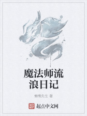 魔法师流浪日记