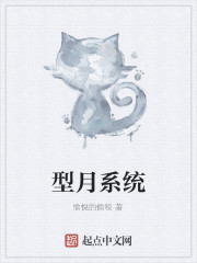 型月系统