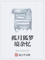 孤月狐梦境杂忆