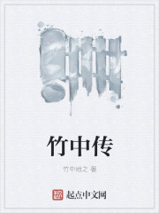 竹中传