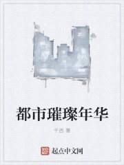 都市之璀璨年华
