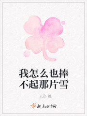 我怎么也捧不起那片雪