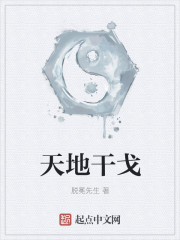 天地干戈