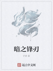 暗之锋