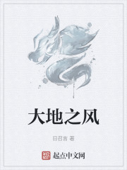 大地之风