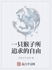 惜游