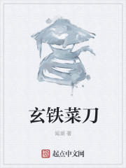 玄铁菜刀