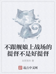 不跟舰娘上战场的提督不是好提督
